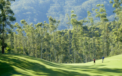 Why Coffs Harbour is calling retirees
